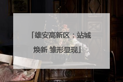 雄安高新区：站城焕新 雏形显现