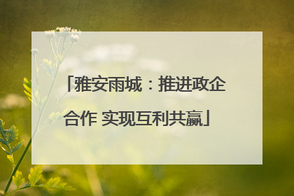 雅安雨城：推进政企合作 实现互利共赢