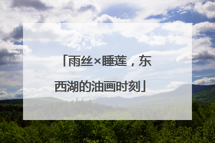 雨丝×睡莲，东西湖的油画时刻