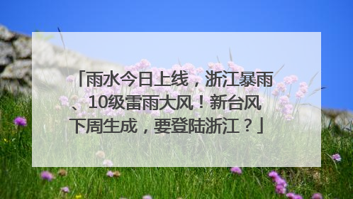 雨水今日上线，浙江暴雨、10级雷雨大风！新台风下周生成，要登陆浙江？