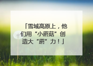 雪域高原上，他们用“小蘑菇”创造大“蘑”力！