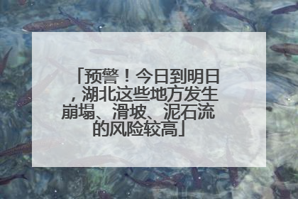 预警！今日到明日，湖北这些地方发生崩塌、滑坡、泥石流的风险较高