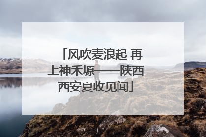 风吹麦浪起 再上神禾塬——陕西西安夏收见闻