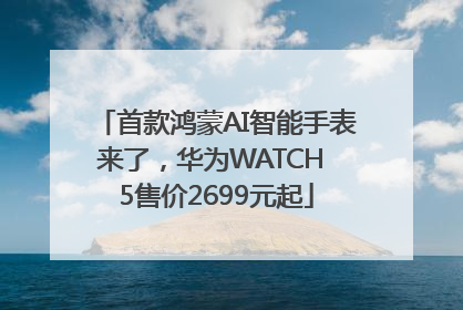 首款鸿蒙AI智能手表来了，华为WATCH 5售价2699元起