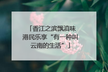 香江之滨飘滇味 港民乐享“有一种叫云南的生活”