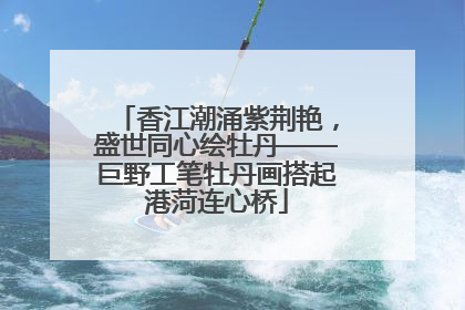 香江潮涌紫荆艳，盛世同心绘牡丹——巨野工笔牡丹画搭起港菏连心桥