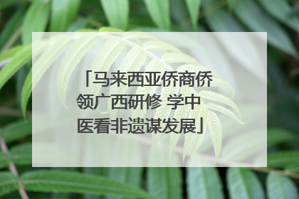 马来西亚侨商侨领广西研修 学中医看非遗谋发展