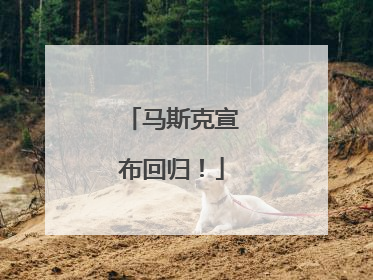 马斯克宣布回归！