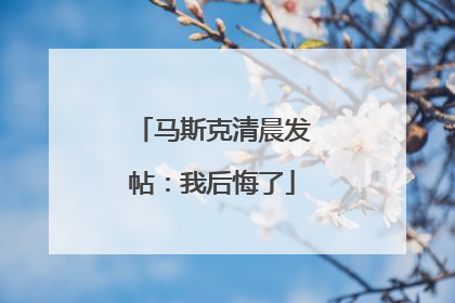 马斯克清晨发帖:我后悔了