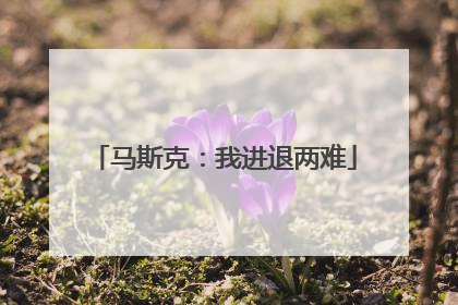 马斯克：我进退两难