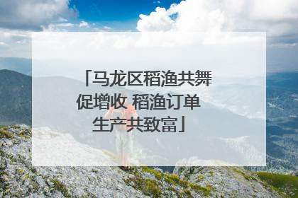马龙区稻渔共舞促增收 稻渔订单生产共致富