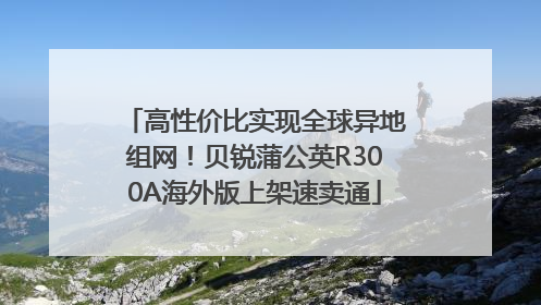 高性价比实现全球异地组网！贝锐蒲公英R300A海外版上架速卖通