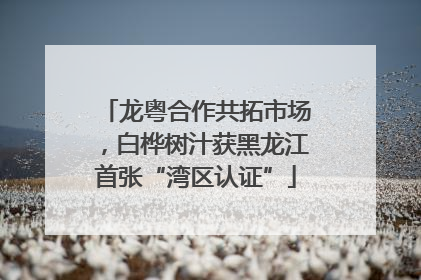 龙粤合作共拓市场，白桦树汁获黑龙江首张“湾区认证”