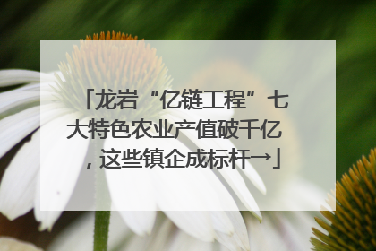 龙岩“亿链工程”七大特色农业产值破千亿，这些镇企成标杆→
