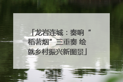 龙岩连城：奏响“稻薯烟”三重奏 绘就乡村振兴新图景
