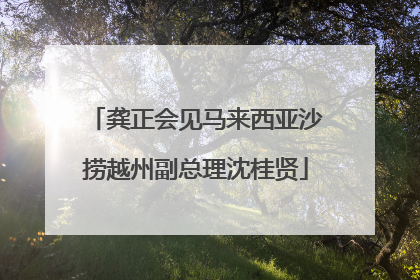 龚正会见马来西亚沙捞越州副总理沈桂贤