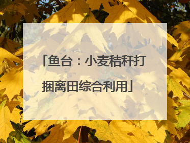 鱼台：小麦秸秆打捆离田综合利用