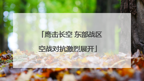鹰击长空 东部战区空战对抗激烈展开