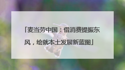 麦当劳中国：借消费提振东风，绘就本土发展新蓝图
