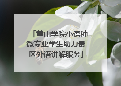 黄山学院小语种微专业学生助力景区外语讲解服务