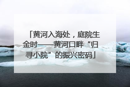 黄河入海处，庭院生金时——黄河口畔“归寻小院”的振兴密码