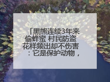 黑熊连续3年来偷蜂蜜 村民防盗花样频出却不伤害：它是保护动物，我有保险兜底