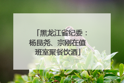 黑龙江省纪委：杨昆尧、宗刚在值班室聚餐饮酒
