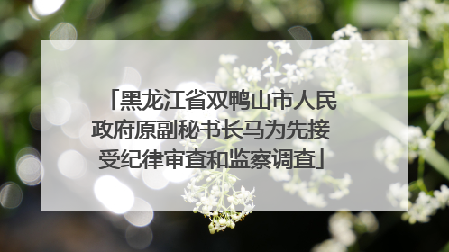 黑龙江省双鸭山市人民政府原副秘书长马为先接受纪律审查和监察调查