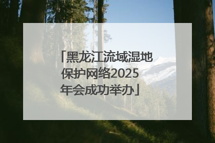 黑龙江流域湿地保护网络2025年会成功举办