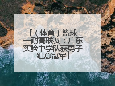 （体育）篮球——耐高联赛：广东实验中学队获男子组总冠军