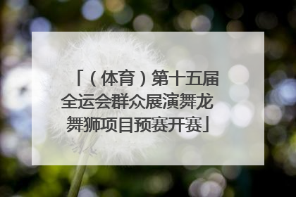 （体育）第十五届全运会群众展演舞龙舞狮项目预赛开赛