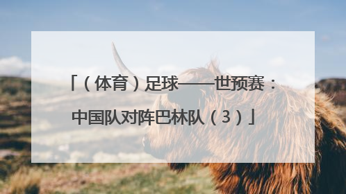 （体育）足球——世预赛：中国队对阵巴林队（3）