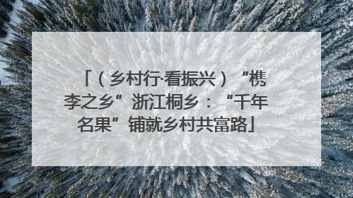 （乡村行·看振兴）“槜李之乡”浙江桐乡：“千年名果”铺就乡村共富路