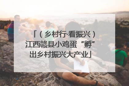 （乡村行·看振兴）江西赣县小鸡蛋“孵”出乡村振兴大产业