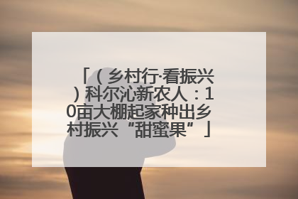 （乡村行·看振兴）科尔沁新农人：10亩大棚起家种出乡村振兴“甜蜜果”