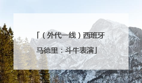（外代一线）西班牙马德里：斗牛表演