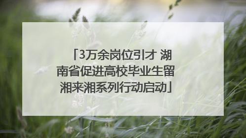3万余岗位引才 湖南省促进高校毕业生留湘来湘系列行动启动