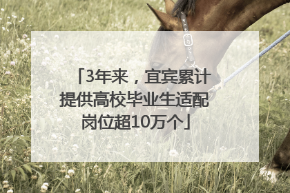 3年来，宜宾累计提供高校毕业生适配岗位超10万个
