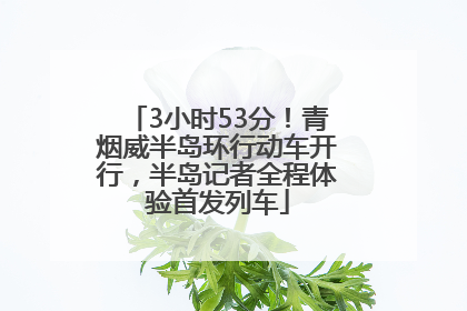 3小时53分！青烟威半岛环行动车开行，半岛记者全程体验首发列车