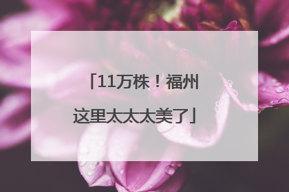 11万株！福州这里太太太美了