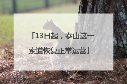 13日起，泰山这一索道恢复正常运营