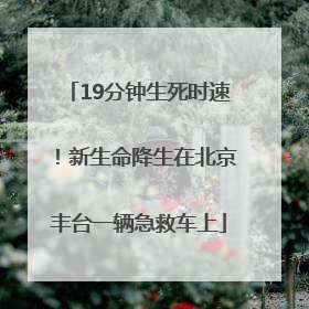 19分钟生死时速！新生命降生在北京丰台一辆急救车上