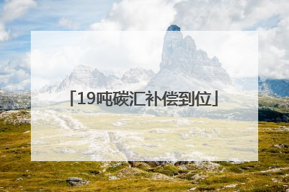 19吨碳汇补偿到位