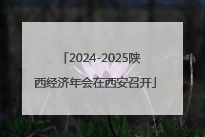 2024-2025陕西经济年会在西安召开