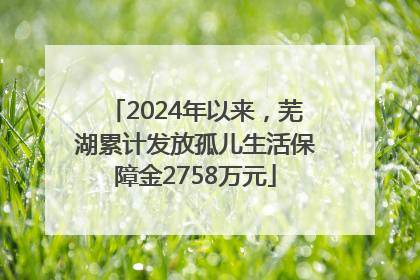 2024年以来，芜湖累计发放孤儿生活保障金2758万元