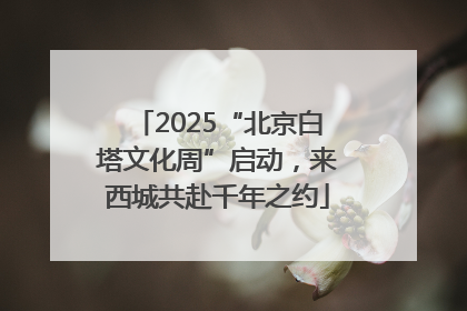 2025“北京白塔文化周”启动，来西城共赴千年之约