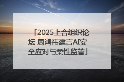 2025上合组织论坛 周鸿祎建言AI安全应对与柔性监管