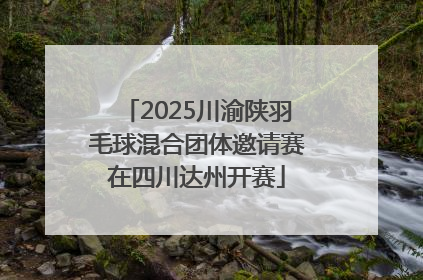 2025川渝陕羽毛球混合团体邀请赛在四川达州开赛