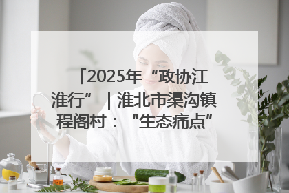 2025年“政协江淮行”｜淮北市渠沟镇程阁村：“生态痛点”变“生态景观”