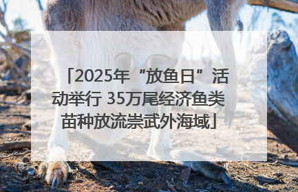 2025年“放鱼日”活动举行 35万尾经济鱼类苗种放流崇武外海域
